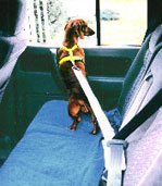 Dog Products,Dog Gifts, Dog Collars, Leads, Dog Harnesses, Dog Grooming Tools