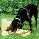 Dog Products,Collars For Dogs, Dog Collars, Leads, Dog Harnesses, Dog Bowls,water stations
