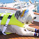 Dog,dog life preservers Dog,pet life preservers Dog,life preservers dogs Dog,floatation Jackets Dog,floatation jackets animals Dog,dog raincoats Dog,dog jumpsuits Dog,raincoats dogs Dog,jackets dogs Dog,coats dogs Dog,dog collars