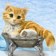 Collectibles,Music Box, Cat Clocks, Cat Sculptures,Cat Figurines