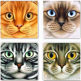 Cat Lovers,Cat Collectibles,Music Boxes,Litter Boxes, Cat Tote Bags, Leads, Cat Harnesses, Cat Grooming Tools