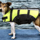 Dog Life Jacket Coat,dog life jacket,dog preservers Dog,pet life preservers Dog,life preservers dogs Dog,floatation Jackets Dog,floatation jackets animals Dog,dog raincoats Dog,dog jumpsuits Dog,raincoats dogs Dog,jackets dogs Dog,coats dogs Dog,dog collars