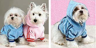 Dog,Cat Products,Self-Cleaning Slicker, Dog, Cat Collars, Leads, Cat Harnesses, Cat Grooming Tools