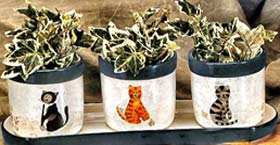 Cat Lovers,Cat Collectibles,Music Boxes,Litter Boxes, Cat Tote Bags, Leads, Cat Harnesses, Cat Grooming Tools