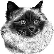 Cat Lovers,Cat Collectibles,Music Boxes,Litter Boxes, Cat Tote Bags, Leads, Cat Harnesses, Cat Grooming Tools